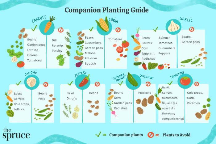 Flowers to plant with vegetables