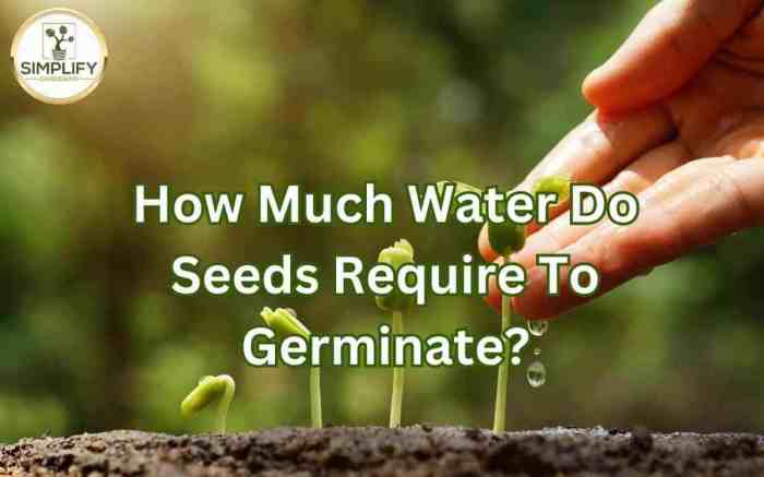 Seedlings watering gardening gardeningchannel plants vegetable much drown