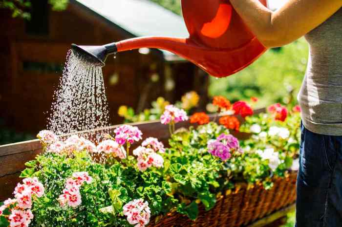 How often do i water potted plants